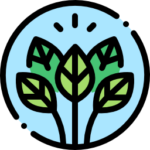 Tempero para feijão