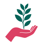 Produtos-naturais-selecionados-com-curadoria